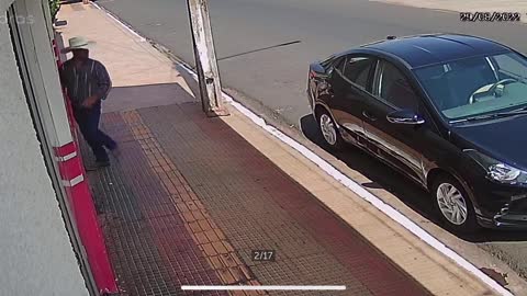 An Adventurous Dog Explores a Stranger's Car