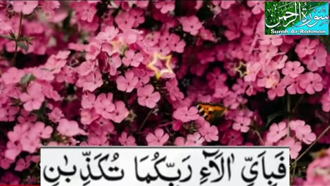 Surah Al Rehman with urdu translation