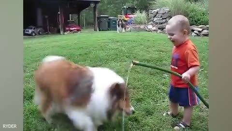 When your dog becomes the trusted nanny - Cute Moments Dog and Human