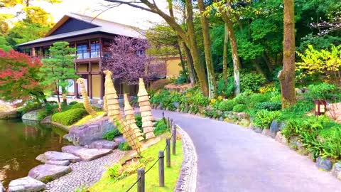 Beautiful Japanese Garden in Nagoya (Tokugawaen) _ Koi Fish _ Nagoya Winter