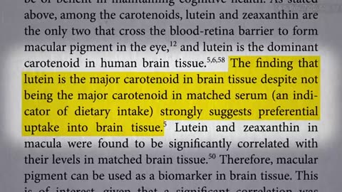 Brain healthy foods to fight aging