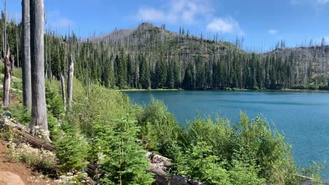 Central Oregon - Mount Jefferson Wilderness - Absolutely Beautiful! - 4K