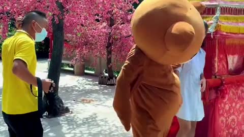 Funny video _ Funny Bear