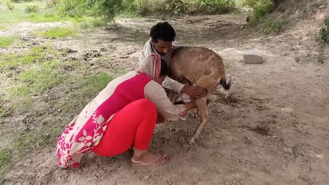 Simple village life, aaj Meri B's ho Gai haa, rumble viral video, rumble trandiing video