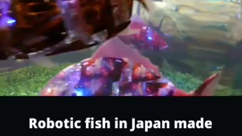 Amazing robotic fishes