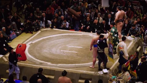 Sumo Match - Tokyo - 相撲