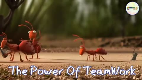 Teamwork and Leadership | Animated short clip | Creative 360 | #teamwork #leadership #motivation