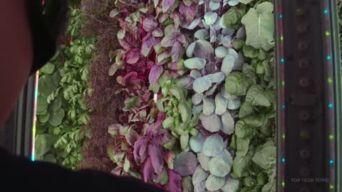 3 Innovative Smart Farming (Vertical Farming) Future of Farming