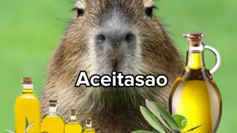 Emocionante história de vida de uma capivara