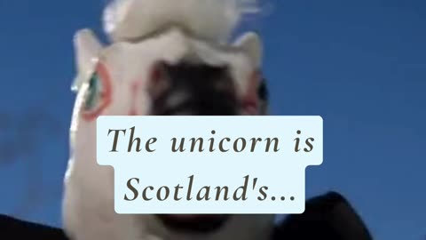 DID YOU KNOW THAT UNICORN IS SCOTLAND'S...😳🤯