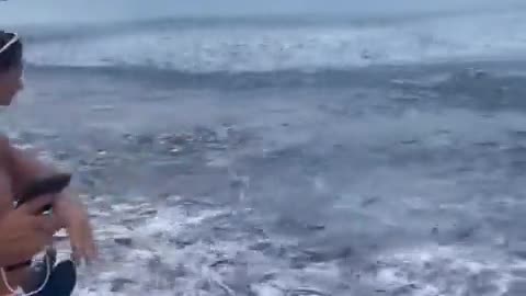 Bizarre FISH Invasion in Florida