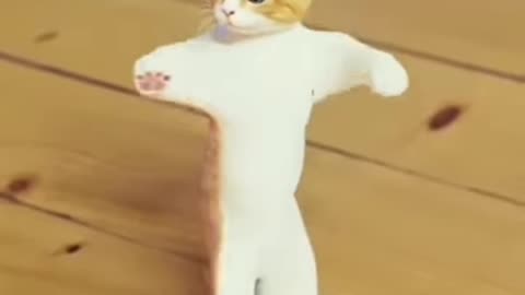 Funny Cat Dance