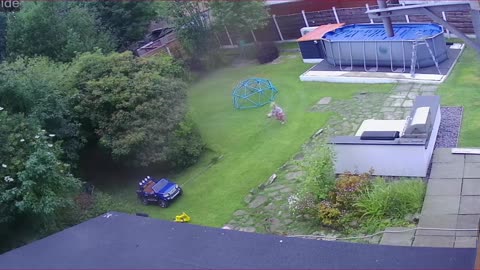 Little Girl Playing in Toy Jeep Runs Over Jealous Brother