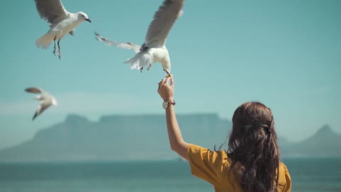 Slow Motion Footage of a Woman Feeding Seagulls