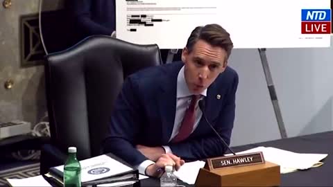 Josh Hawley DESTROYS Alejandro Mayorkas