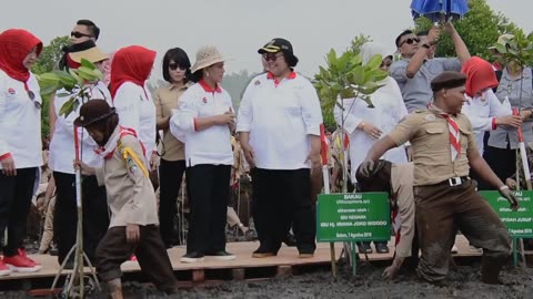 Indonesian Mangroves for the World