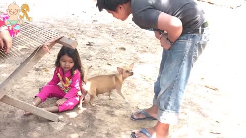 💪 Protection Dog - Dogs Protecting Kids because they are best friend 😍