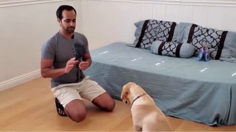 How to Train your Dog or Puppy to Sit and Stay _ How I Trained Buddy (Easy Dog Training at Home)