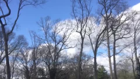 Man in blue motorcycle falls back forest