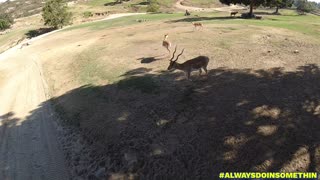 San Diego Safari Park