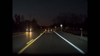 Tesla vs Deer.... nobody wins (part 2)