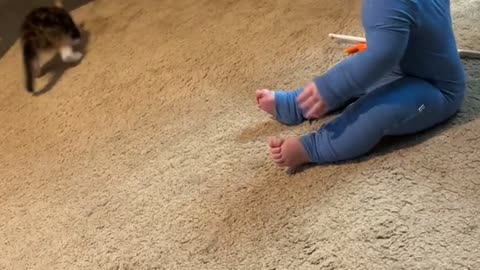 New Cat And New Human Play Together