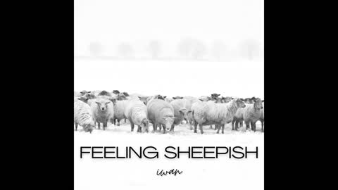 Feeling Sheepish - Iwan Prod.Dwnld