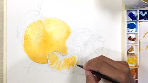 Use Watercolor To Paint The Tangerine