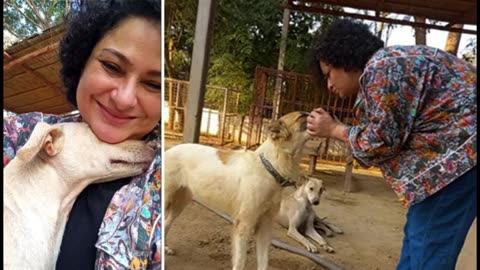 Sania Saeed's request to people to take care of street dogs