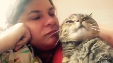 Unbelievable! Talking cat says NO! to kisses