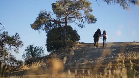 Slim woman and purebred horse walking from hill in slow motion with blue summer sky at background