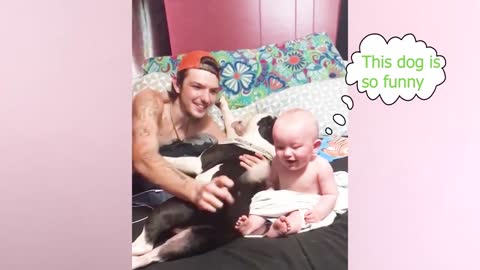 #Best Videos Of #Funny Twin #Babies #Compilation #Twinsbaby Video #usa #uk #india #cutebaby#short #y