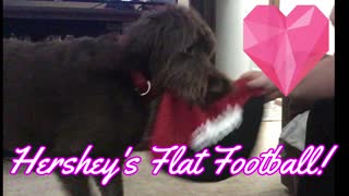 Hershey's Flat Football