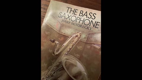 The Bass Saxophone - the sameness of oppression.