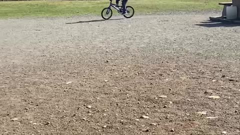 Bmx practice dog park