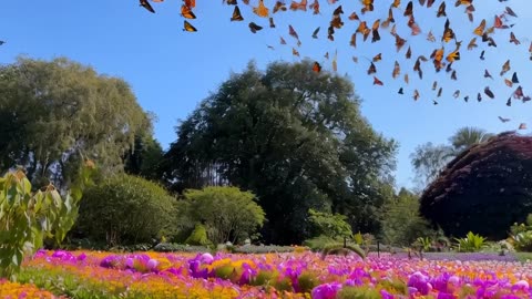 Colourful garden filled with vibrant flowers and hundreds of butterflies AI