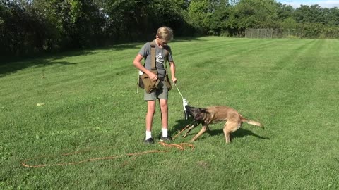 how a father teaches son how to train a protection dog