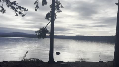 Morning @ The Cove – Timothy Lake Loop – Mount Hood – Oregon – 4K