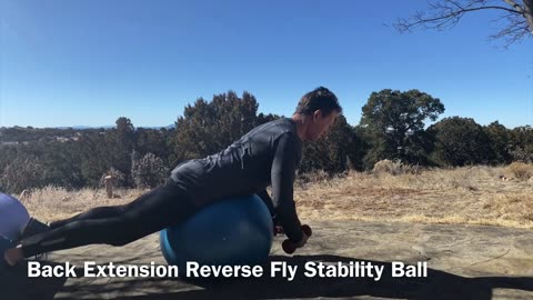 Back Extension / Reverse Fly - Stability Ball, Dumbbells