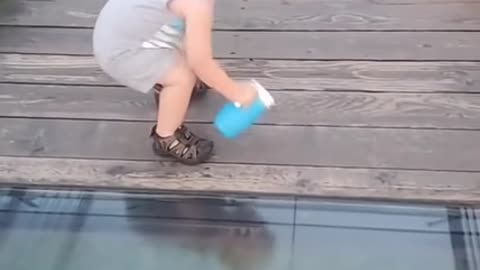 Toddler Attempts To Cross Onto Glass Bridge