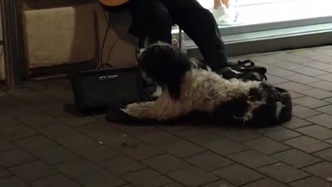 Buskers Duet with His Best Friend