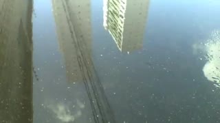 2 skyscrapers are reflected in the water on the sidewalk, the buildings are big [Nature & Animals]