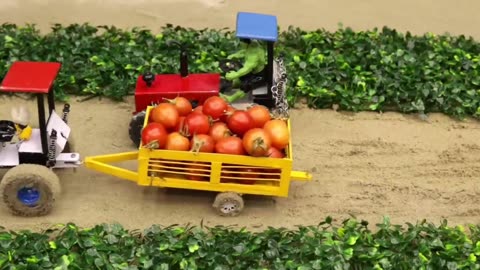 Homemade mini tractor 🚜 tomato 🍅 farming 😁