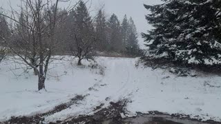 4x4ing in the snow ford f350 diesel.