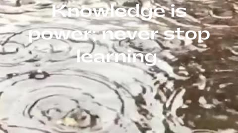 Discover the value of knowledge and the importance of continuous learning.#Knowledge #Learning