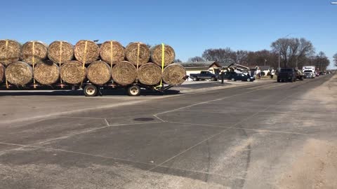 Hay for Days