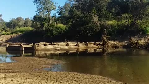 16.6.2024 The Barron River, Kuranda