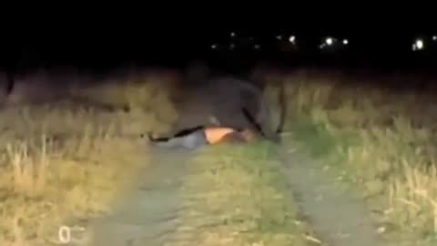 Alleged unedited Clip of a mysterious creature in #Mexico. This is NOT A.I.