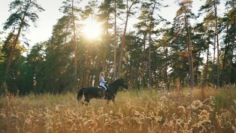 A Beautiful and natural young girl outdoors with horse