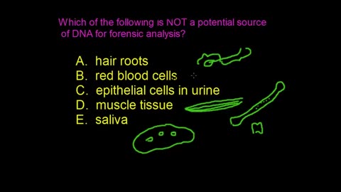 Forensic analysis of DNA